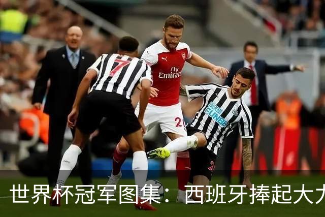 世界杯冠军图集：西班牙捧起大力神杯！
