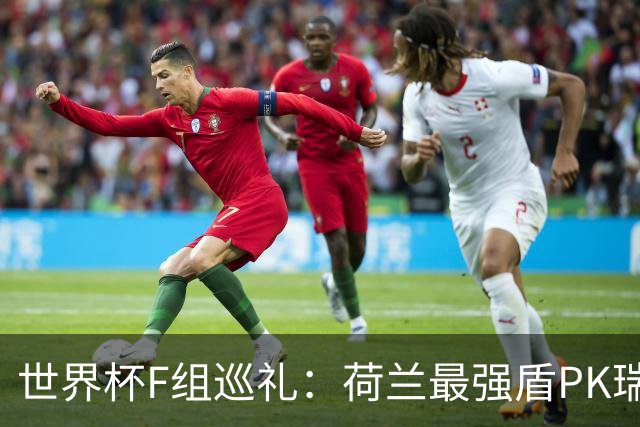 世界杯F组巡礼：荷兰最强盾PK瑞典犀利刀 日本短板明显