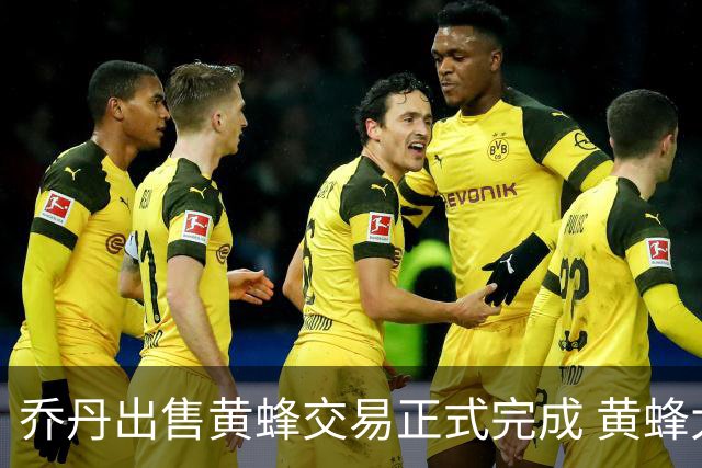 乔丹出售黄蜂交易正式完成 黄蜂大老板易主