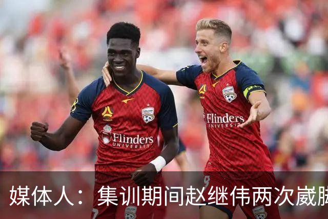 媒体人：集训期间赵继伟两次崴脚 大秋三宁李弘权高诗岩也都带伤