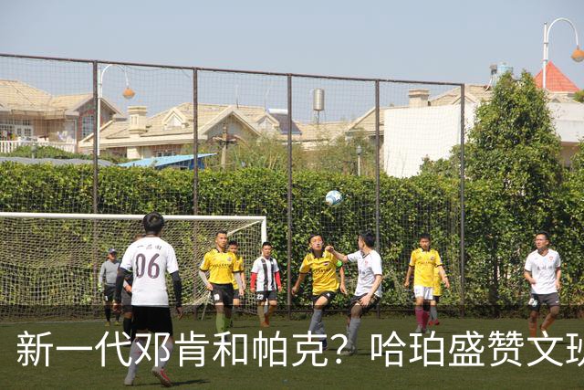 新一代邓肯和帕克？哈珀盛赞文班：方方面面，他都是最出色的领袖