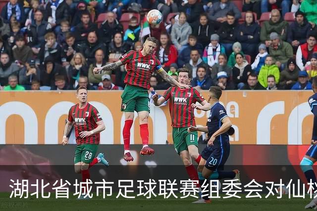 湖北省城市足球联赛组委会对仙桃队、黄石队作出处罚