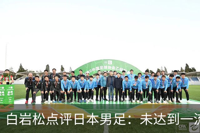 白岩松点评日本男足：未达到一流强队标准，仍需克服对荷兰的恐惧